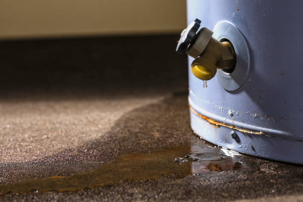 Best Mold removal after water damage  in Montague, CA