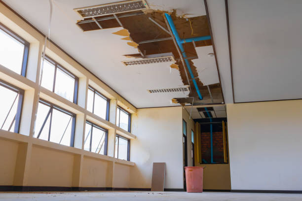 Best 24/7 water damage repair  in Montague, CA
