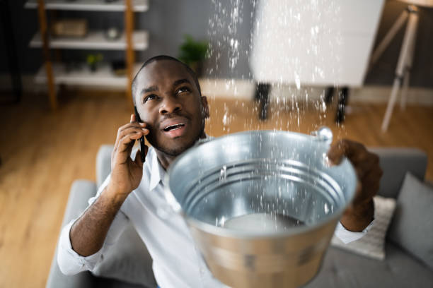 Best Water damage contractors near me  in Montague, CA