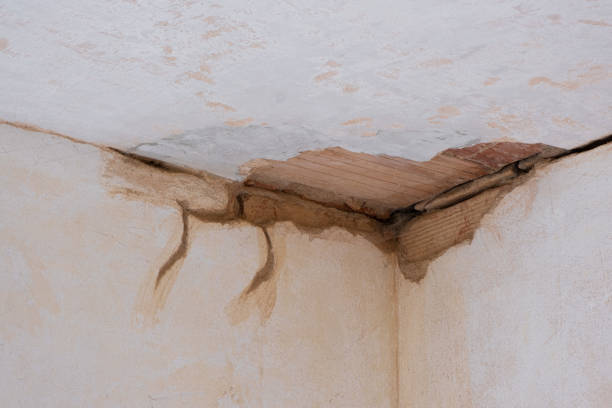 Best Ceiling water damage repair  in Montague, CA