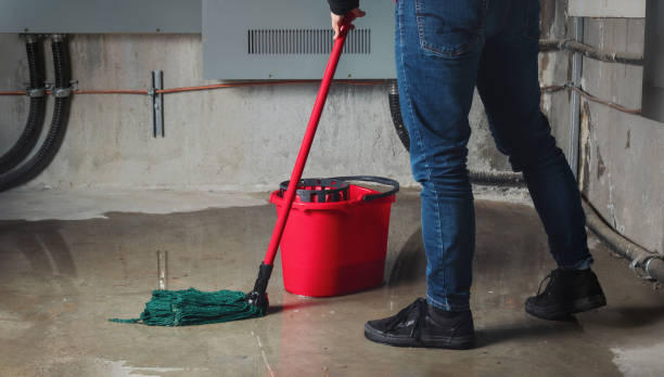 Reliable Montague, CA Water damage restoration Solutions
