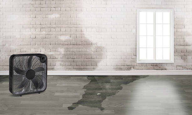 Best Residential water damage restoration  in Montague, CA
