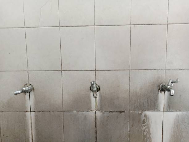 Best Local water damage restoration  in Montague, CA