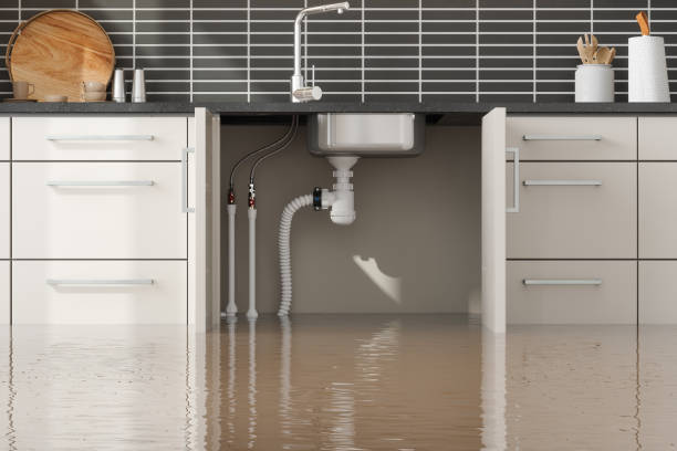 Best Water damage repair service  in Montague, CA