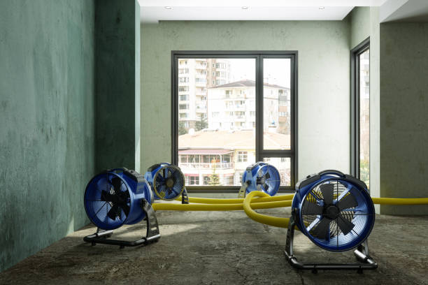 Best 24-hour water damage restoration  in Montague, CA