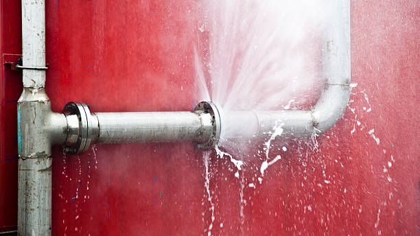 Best Water damage restoration near me  in Montague, CA